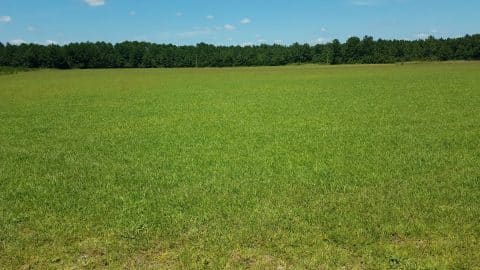78AC Old Happy RD 1 scaled